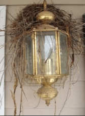 Screen Shot 2019-04-01 at 6.11.59 PM