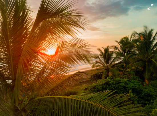 Screen Shot 2020-04-11 at 5.30.44 PM