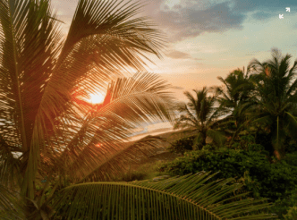 Screen Shot 2020-04-11 at 5.30.44 PM